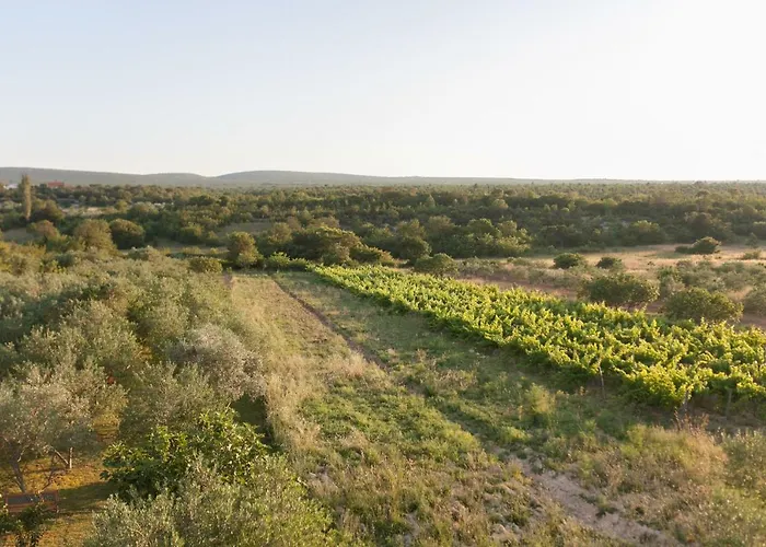 Roko Апартаменты